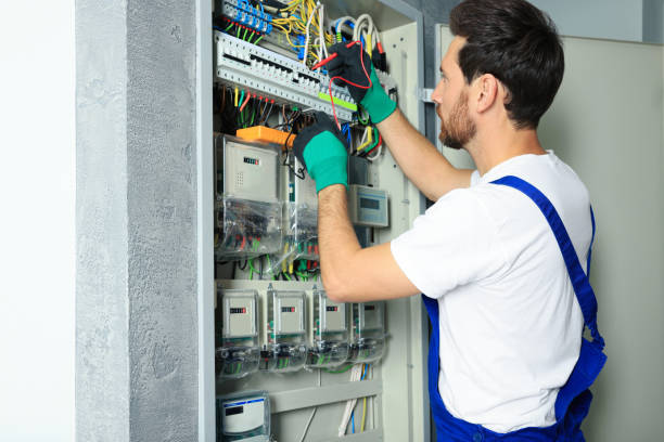 Best 24-Hour Electrician  in Colon, MI